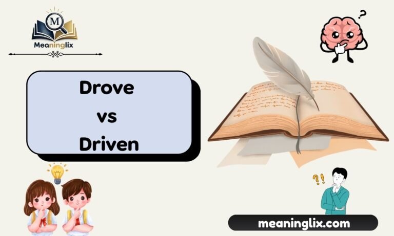 Drove vs Driven