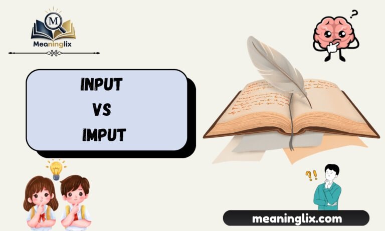 Input vs. Imput